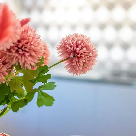 Lamalatestina - In Front Of The Castle 公寓