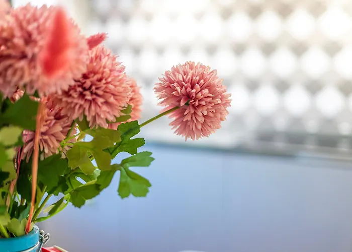 Lamalatestina - In Front Of The Castle 아파트